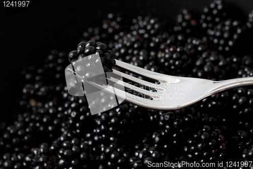 Image of Blackberries 