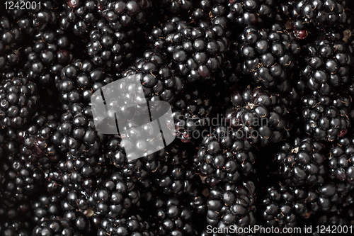 Image of Blackberries