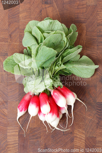 Image of Radish