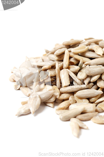 Image of Sun-flower seeds