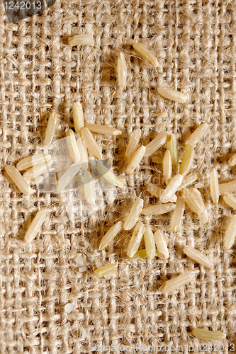 Image of Brown rice