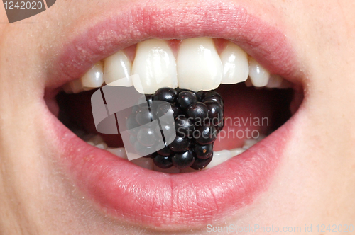Image of Mouth