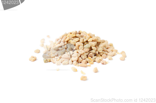 Image of Fenugreek