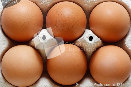 Image of Eggs