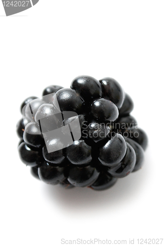 Image of Blackberry
