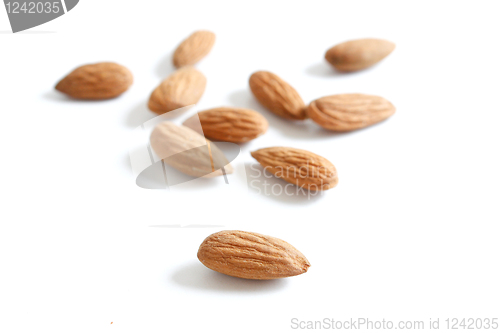 Image of Almonds