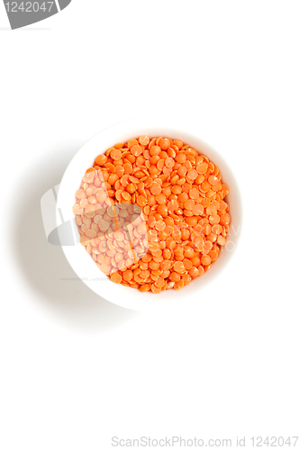 Image of Lentils