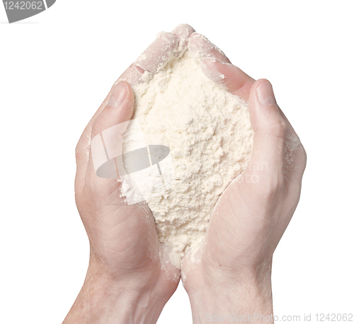 Image of Hands holding wheat