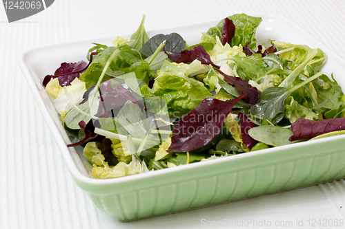 Image of Salad
