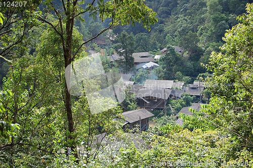 Image of Forest village