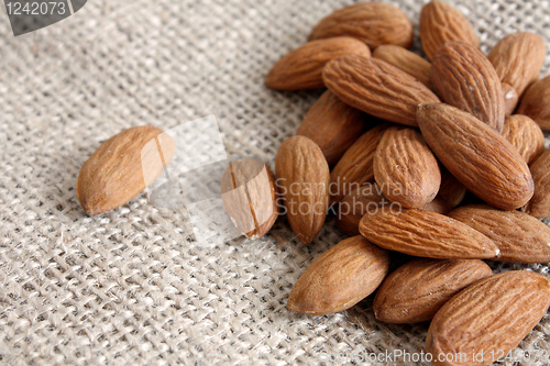 Image of Almonds