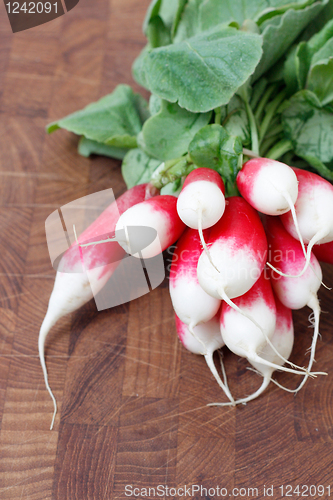 Image of Radish