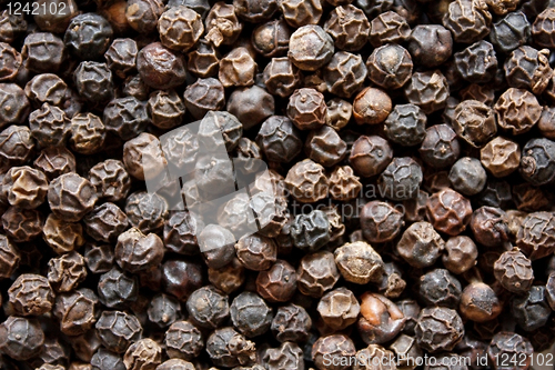 Image of Black pepper