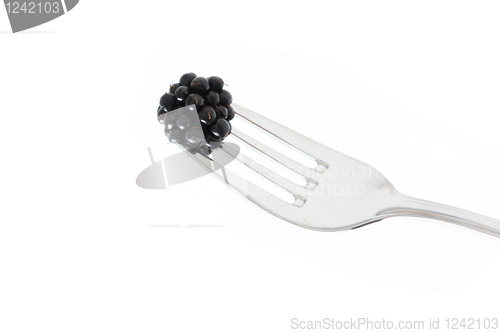 Image of Blackberries 