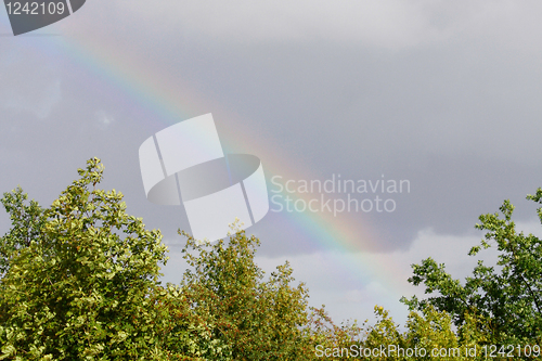 Image of Rainbow