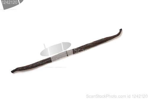 Image of Vanilla