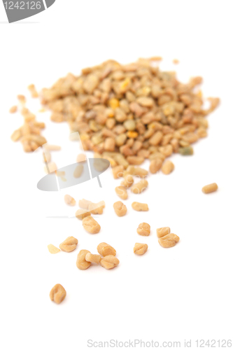 Image of Fenugreek