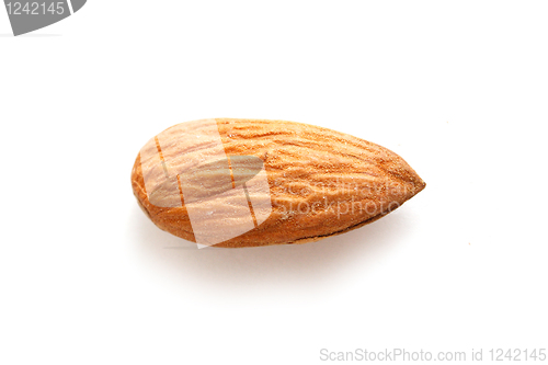 Image of Almond