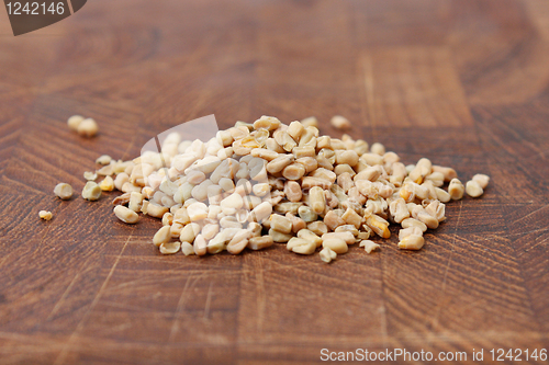 Image of Fenugreek