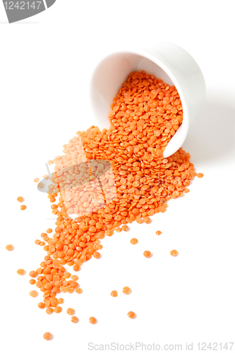 Image of Lentils