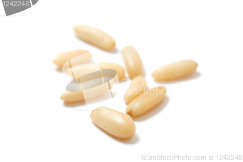 Image of Delicious pine nuts