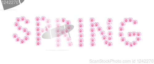 Image of Spring