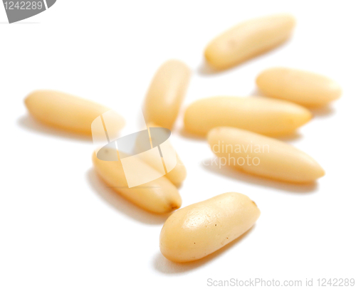 Image of Delicious pine nuts