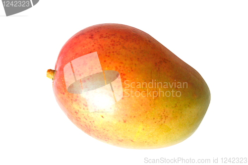 Image of Mango