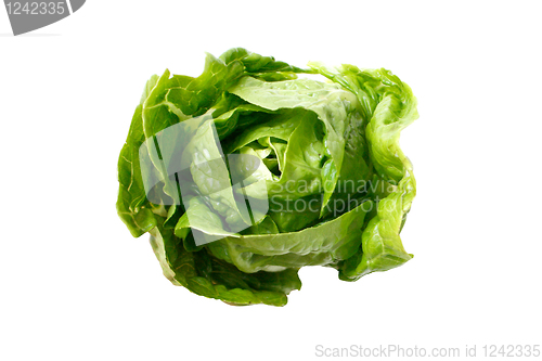 Image of Romaine salad