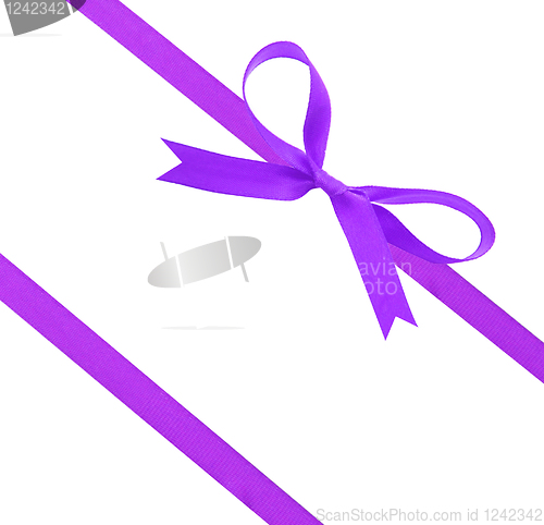 Image of Purple christmas ribbon and bow