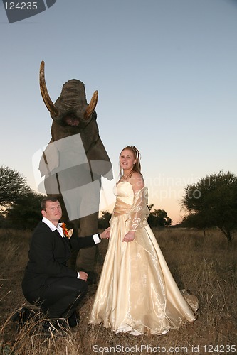 Image of Wedding Couple with elephant