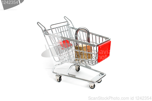 Image of Miniature shopping trolley