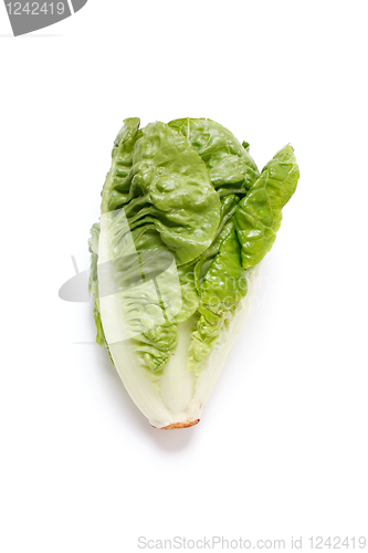 Image of Romaine salad