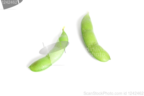 Image of Edamame