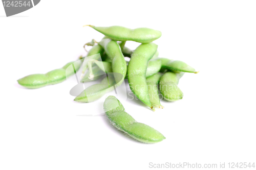 Image of Edamame