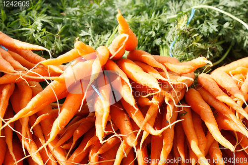 Image of Carrots