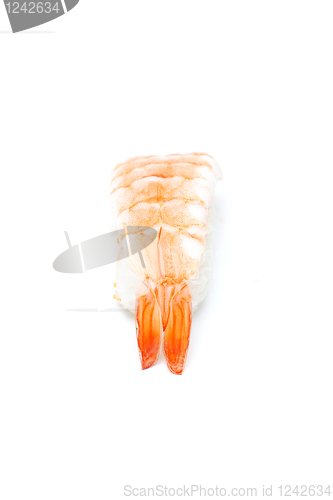 Image of Prawn nigiri