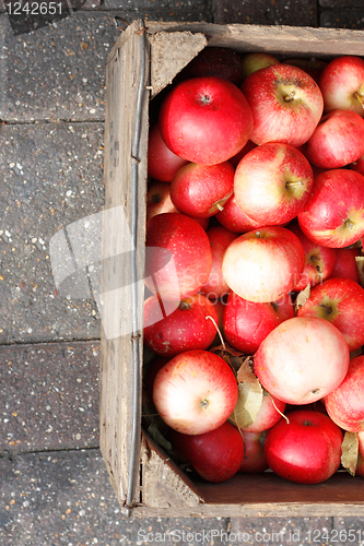 Image of Apples