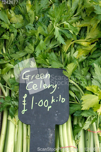 Image of Celery