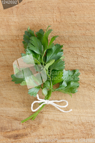 Image of Parsley