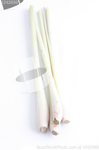 Image of Lemon grass