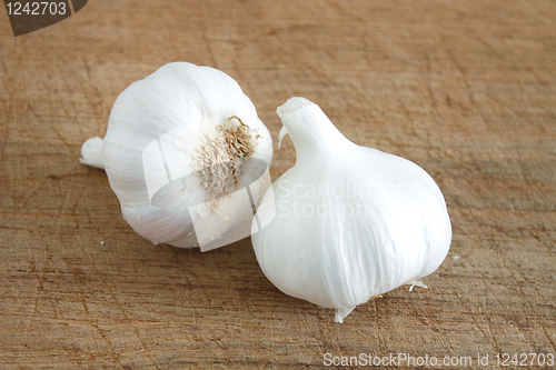 Image of Garlic