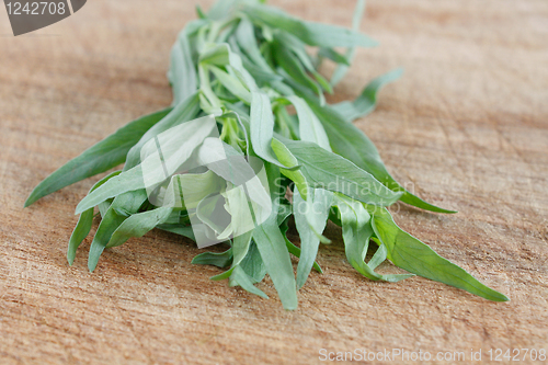 Image of Tarragon