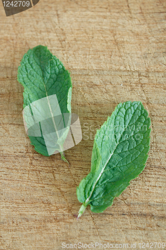 Image of Mint leaves