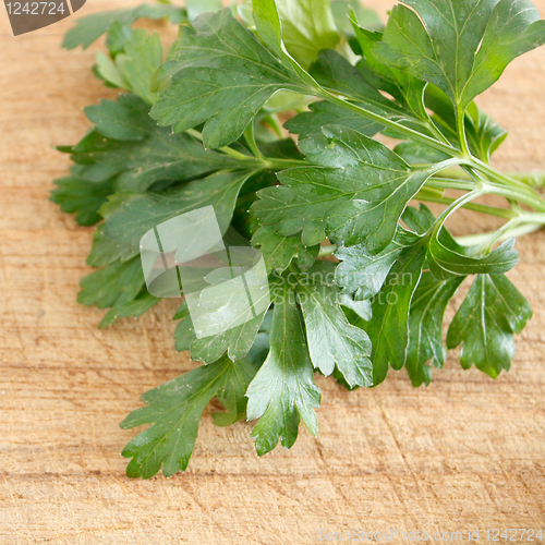 Image of Parsley