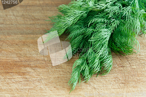 Image of Dill
