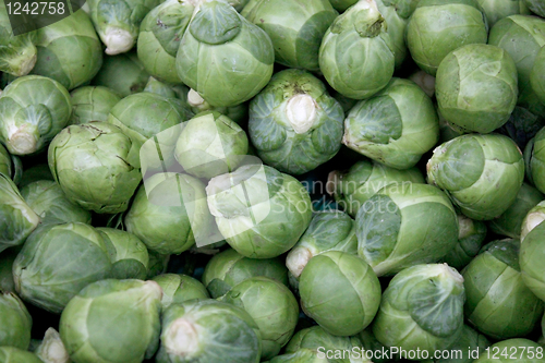 Image of brussel sprout