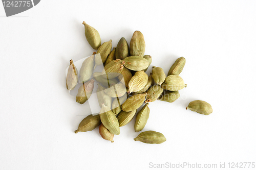 Image of Cardamom