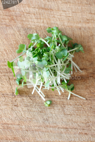 Image of Water cress