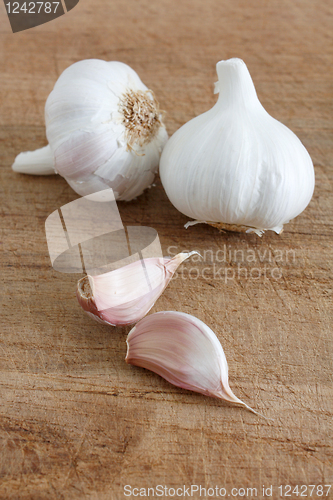 Image of Garlic